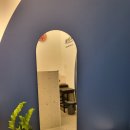 견공상회 이미지