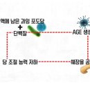 강남피티 이미지