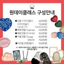 돌보다: 색채 미술과 함께하는 건강한 힐링 | 아르떼드로잉: 틸란드시아 이오난사 공기정화 식물 키우기 (친환경 오브제 구매) 책상 위 힐링템