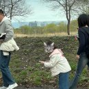 첨단연신로30번길R | 뚜벅뚜벅 세번째 강릉여행 근데 벚꽃을 곁들인 ..