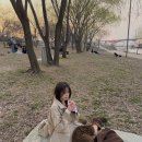 제이케이패션(JK FASHION) | 틸아이다이 워크자켓 후기 | High-neck leather work jacket 착용 리뷰