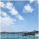 슈가브리움 이미지