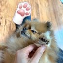 베스트마트진주점