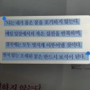 야탑 무료도서관.성남시청 하늘북꿈북카페 방문 후기