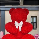 곡성-154 이미지