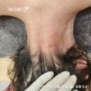 일봉로 | 천안 더예뻐졌네 방문 후기｜몸이 한결 가벼워지는 힐링타임