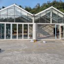 화니카센타 이미지