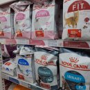 제로펫 매탄점 이미지