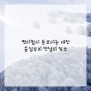 스마트카부분정비 | 깔끔하고 스마트한 이동 솔루션, 대전에서 겪은 쾌적한 렌터카 이용 후기예요