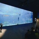 황금아쿠아 이미지