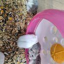 매산리 538 이미지