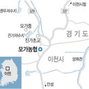 모가농협 앞 이미지