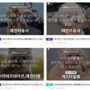 원포인트애견미용학원