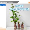 (주)정인에너지