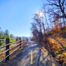 문산태양광발전소 이미지