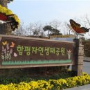 함평자연생태공원캠핑장 이미지