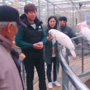 경주버드파크 이미지