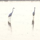 죽동마을 이미지