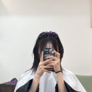 하비헤어 이미지