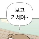 마루위의 고양이 네이버블로그