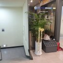 삼성활력마디의원 이미지