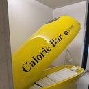 스타일카케어 서초 직영점 | 반포다이어트 칼로리바 반포 래미안점 실제 체험 후기 1회 체험 체지방 -1.3kg 골격근 +0.7kg