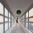 의료법인 은성의료재단 좋은강안병원 | 4개월 아기 사두 진료 후기 부산 소아재활의학과 좋은강안병원🏥