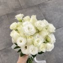 빵실스튜디오