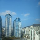 도매천국