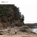 (주)송림투어