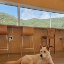 차고치는마을 1호점 | 남해 숙소 추천 팜프라촌 코부기1호 내돈내산 후기