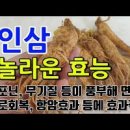 인삼 효능 칼로리 안좋은점 인삼주 이미지