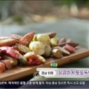 이연주농장 이미지