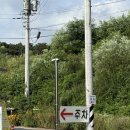 깨비식당 | [천안 성남면] 천안 소노벨 근처 야외바베큐장, 깨비깨비 캠핑식당 야외바베큐장 내돈내산 솔직후기