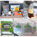 경남세차장 | 경남 양산 ABC스팀세차장 양산덕계점 추천 가격 저렴하고 손세차 잘하는 곳 대만족 후기