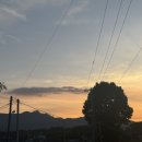 꽃냥이네 촌집 이미지