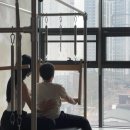 유성스텔라요가＆필라테스 | 자세교정부터 기구필라테스까지 도안동 스텔라 요가&필라테스 방문후기