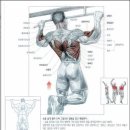 이지피티스튜디오 이미지