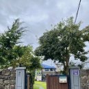 빈도롱이가 | 제주 서귀포 독채 에어비앤비, 빈도롱이가