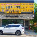 주니어랩영어교습소 네이버블로그