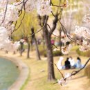 경주러브스토리펜션 이미지