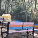 해누리문고작은도서관 | 구포도서관 구내식당/매점 운영시간과 숲속문고