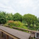 일월애관광농원 이미지