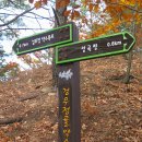 만추관목