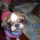 주인아 미용하고가 이미지