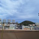 스테이 루나 이미지