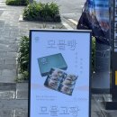 고팡커피 | 제주여행선물 메밀빵 기념품 추천 모믈고팡 포장방문 후기