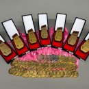 한국체대 호랑이 이미지