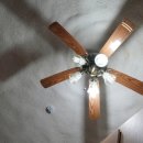 백운장뇌삼관광농원 | 원주글램핑장 포레스트돔