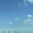 꾸지나무골해수욕장 | 태안 민어도 여행] 애견동반 숙소 민어도 펜션&amp; 꾸지나무골 해수욕장 강아지와 함께 여름 마지막 수영하기🐶